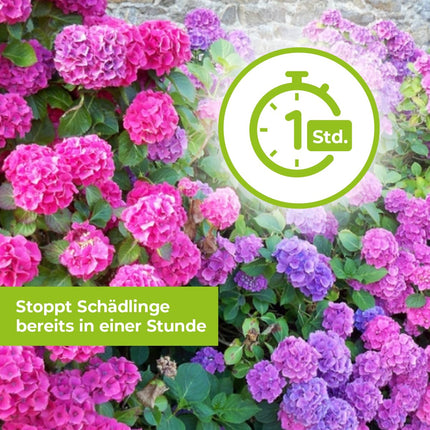 PROTECT GARDEN Lizetan Plus kaitēkļu nesaturošs līdzeklis pret kaitēkļiem dekoratīvajiem augiem, rozēm, augļiem un dārzeņiem, 800 ml aerosols