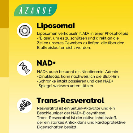 Liposomālās NAD+ trans-resveratrola 800 mg mīkstās kapsulas, labāka alternatīva, efektīvākas nekā NR, augsta absorbcija, 60 mīkstās kapsulas (60 kapsulas (1 iepakojums))