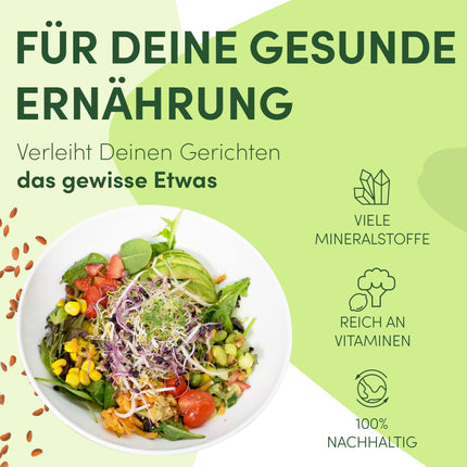 Green SEEDS® [Oriģinālais dīgšanas burku komplekts (2 gab.) + kressalātu siets + 3 x sēklu komplekts ar augstas kvalitātes nerūsējošā tērauda vāku, statīvu, keramikas bļodu + dīgšanas ABC [Drukātas versijas] Dīgšanas burku kultivēšanas komplekts