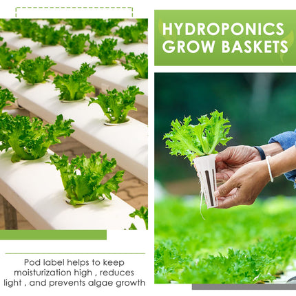 Sēklu kapsulu komplekts Aerogarden, Grow-Anything komplekts hidroponikai, augu kapsulu komplekts A un B augu mēslošanai ar augu groziem, audzēšanas sūkļiem, augu kupoliem un etiķetēm (12 gab.)