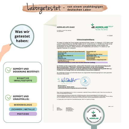 Zirgkastaņas ekstrakts Vegavero® | 100% bioloģisks | 800 mg ekstrakta ar vīnogu lapām un acerolas C vitamīnu | Cenas un veiktspējas attiecības uzvarētājs 2024* | Aescīns un polifenoli | 120 vēnu kapsulas | Vegāns un bez piedevām