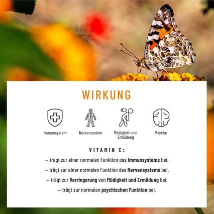 Kvercetīna bromelaīna komplekss 120 vegānas kapsulas - 500 mg lielas kvercetīna devas, 100 mg bromelaīna un 16 mg C vitamīna vienā dienas devā - Blossom Time by Naturtreu