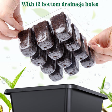 5 sēklu paplātes ar augšanas gaismu, sēklu sākuma paplātes, iekštelpu siltumnīcas audzēšanas kaste sēklu un stādu dīgšanai