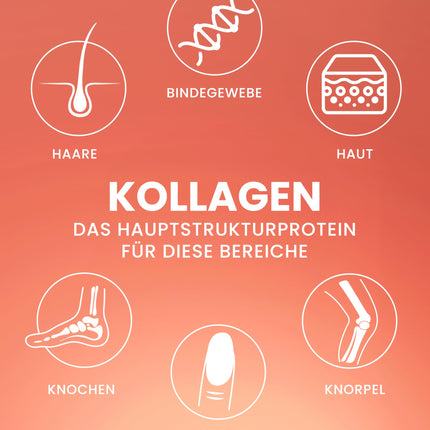 Purefitness Verisol® kolagēna pulveris 450 g [1.3. KLASE] ar BEAUTY formulu - patentēts Verisol® kolagēna peptīds - kolagēna pulveris ar hialuronskābi, biotīnu un C vitamīnu
