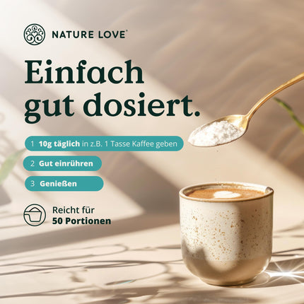 NATURE LOVE® Premium kolagēna pulveris - 500 g kolagēns - 1. un 3. tipa peptīdi - no zālē barotām liellopiem - bez garšas - bez pievienota cukura vai saldinātājiem