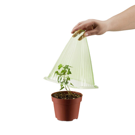 Relaxdays augu cepuru komplekts (24 gab.), stādīšanas palīglīdzeklis, augu aizsardzība pret salu, gliemežiem un putniem, PVC, augu pārsegs, zaļš 10026432