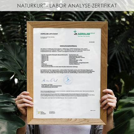 Naturkur® L-tirozīns 500 mg - 240 kapsulas farmaceita stikla burciņā - Tīrs un vegānisks ar vislabāko biopieejamību, roku darbs Lejasfranconijā