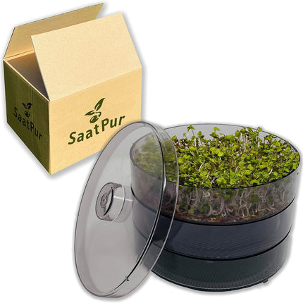 SaatPur® dīgšanas kastes komplekts 2 ar diviem līmeņiem kā diedzēšanas ierīce: dīgļu audzēšanai un mikrozaļumu audzēšanas paplātēm. Dīgšanas kaste, diedzēšanas paplāte, diedzēšanas kaste, dīgšanas kaste, dīgšanas māja, diedzēšanas ierīce