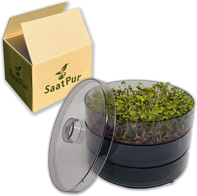 SaatPur® dīgšanas kastes komplekts 2 ar diviem līmeņiem kā diedzēšanas ierīce: dīgļu audzēšanai un mikrozaļumu audzēšanas paplātēm. Dīgšanas kaste, diedzēšanas paplāte, diedzēšanas kaste, dīgšanas kaste, dīgšanas māja, diedzēšanas ierīce