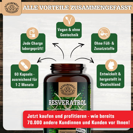 Resveratrols - 1000 mg dienā - SVARĪGI: 100:1 ekstrakts (= 100 000 mg Japānas dižsūrenes saknes) + piperīns | 98% trans-resveratrola liela deva | Laboratorijā pārbaudīts -DE- SCHEUNENGUT®