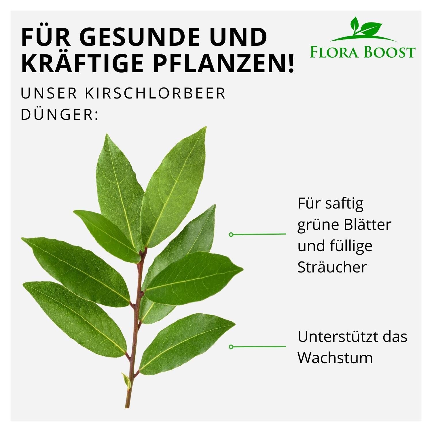 Flora Boost ķiršu-lauraugu mēslojums Flora Boost 500 ml I Līdz 100 lit –  KNEFT