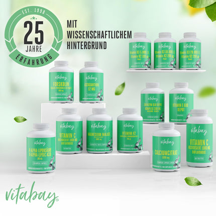 Vitabay Lysine augsta deva 800 mg - 365 L-lizīna tabletes vegānisks un laboratoriski pārbaudīts - neaizvietojamo aminoskābju lizīna kapsulas - bez nevēlamām piedevām