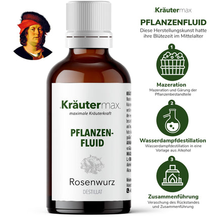 JAUNS! Kräutermax Rhodiola Rosea pilieni | Rhodiola Rosea destilāts kā ideāls papildinājums rožu sakņu kapsulām | Rhodiola Rosea augsta deva vegānisks saskaņā ar Kräutermax | Rhodiola rosea šķidrums | 1 x 50 ml