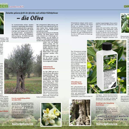 Olīvu mēslojums HIGH-TECH Olea NPK, augiem dobēs un podos