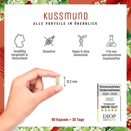 L-lizīns 1000 mg augsta deva - L-lizīna komplekss ar citronmelisu un selēnu - Augstas devas L-lizīna kapsulas - Naturtreu Kussmund vegānisks un laboratoriski pārbaudīts