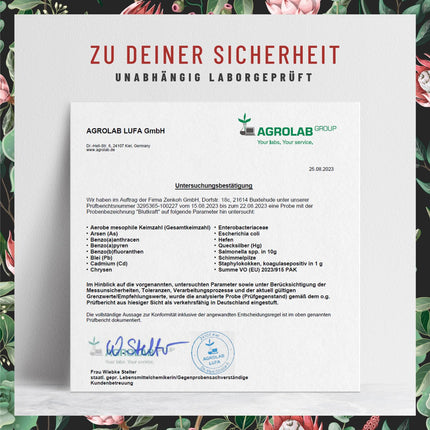 Dzelzs komplekss ar C vitamīnu un fenheli vegāns - 120 kapsulas - vegānas dzelzs tabletes kapsulu veidā, vieglāk norijamas - bez piedevām, laboratoriski pārbaudītas