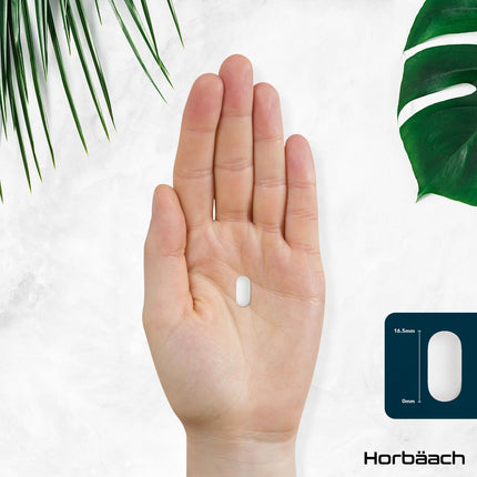 Gremošanas enzīmi | Enzīmu komplekss amilāze, proteāze, laktāze, lipāze un celulāze | Betaīna HCl | 90 vegānas tabletes | Gremošanas enzīmi | Horbaach