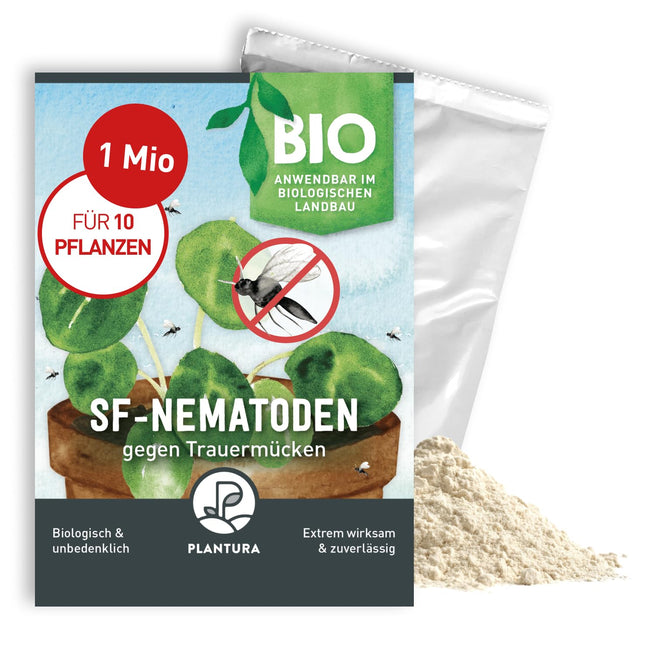 Plantura SF nematodes pret sēnīšu knišļiem, laistīšanai, ļoti efektīvi un organiski, derīgie kukaiņi no Vācijas, 1 miljons uz 1 m²/apm. 10 augi