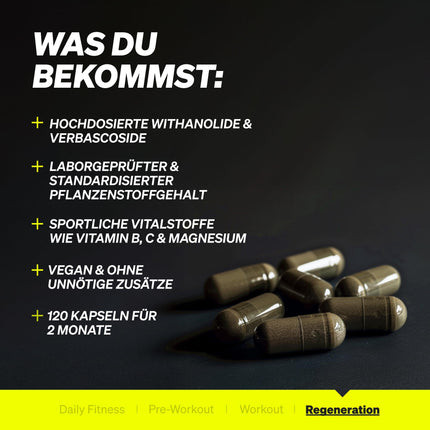 Ašvagandas komplekss – 600 mg dienā – 120 kapsulas – ar KSM-66, citronverbēnu, magniju, folskābi un C, B6 un B12 vitamīniem – augsta deva un vegānisks – ražots Vācijā un laboratorijā pārbaudīts