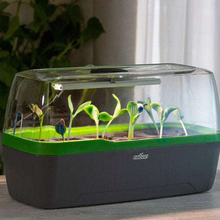 Romberg 16294397 BoQube siltumnīca un puķu pods L plus LED antracīta zaļa (Iekštelpu siltumnīcas)