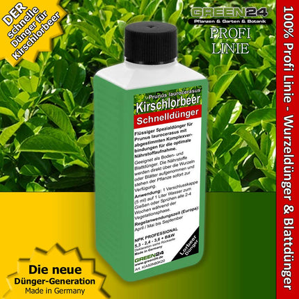 GREEN24 ķiršu-lauraugļu mēslojums Lauru mēslojums Prunus laurocerasus, augstākās kvalitātes šķidrais mēslojums no profesionālās līnijas