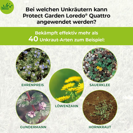 PROTECT GARDEN Universāls zāliena nezāļu iznīcinātājs Loredo Quattro zāliena nezāļu iznīcinātājs pret spītīgām nezālēm ar 4 kārtīgu darbību, 400 ml