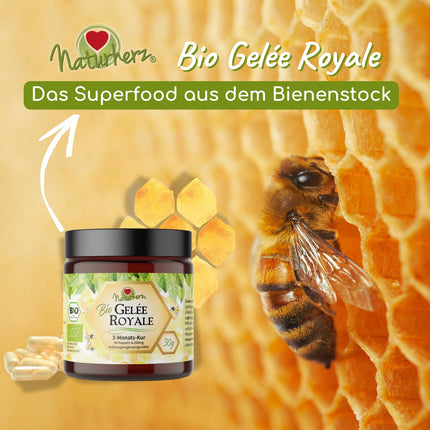 Naturherz bioloģiskās peru pieniņa kapsulas | 100% peru pieniņa pulveris | BEZ piedevām | 90 dārzeņu kapsulas praktiskā brūnā stikla burkā