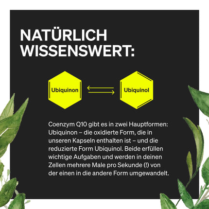Koenzīms Q10 – 200 mg vienā kapsulā – 120 vegāniskas kapsulas – 4 mēnešu krājumi – augstas kvalitātes Q10 – augsta deva, ražots Vācijā un laboratorijā pārbaudīts
