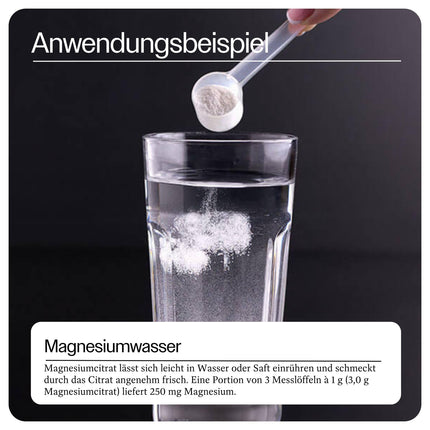 Raab Vitalfood® magnija citrāta pulveris (340 g) – 100% magnija citrāts bez piedevām, viegli dozējams, ideāli piemērots sportistiem – muskuļiem, nerviem, elektrolītu līdzsvaram – laboratoriski pārbaudīts, vegāns