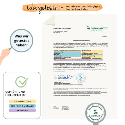 Organiskās papaijas kapsulas Vegavero® | Augsta deva: 1400 mg ekstrakta | 120 gabali | 100% bioloģisks | Vegāns un bez piedevām | Laboratorijā pārbaudīts