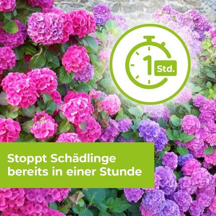 PROTECT GARDEN Lizetan Plus Aphid-Free AF ​​​​speciālais aerosols pret laputīm rozēm, dekoratīvajiem augiem, augļiem un dārzeņiem, 1 litrs