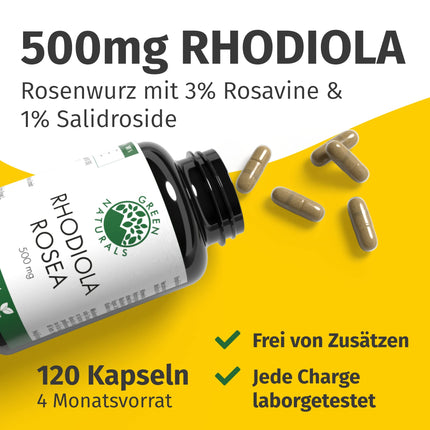 Rhodiola Rosea kapsulas — augsta deva: 500 mg vienā kapsulā ar 3% rozavīniem un 1% salidrosīdu — 4 mēnešu krājumi (120 kapsulas) — Rhodiola Rosea — aptiekas kvalitāte — Green Naturals®