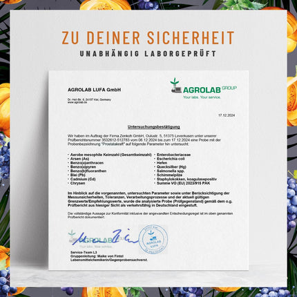 NATURTREU® Prostakraft - 120 vegāniskas kapsulas ar augstu zāģzobainās palmas ekstrakta devu (500 mg), nātru, ķirbju sēklu ar E vitamīnu, cinku, selēnu - 2 mēnešu krājums