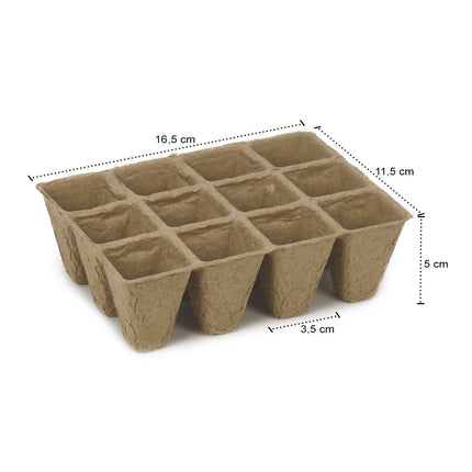 com-four® 2x iekštelpu siltumnīca augu audzēšanai, audzēšanas komplekts 40 augiem, stādītājs mājai, 26,5 x 19,5 x 10,5 cm (2 gab. - iekštelpu siltumnīca)