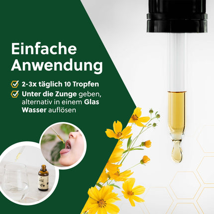 beegut ORGANISKĀS propolisa pilieni šķidrumā bez spirta, 50 ml ūdenī šķīstoša tinktūra ar ORGANISKĀS propolisa ekstraktu, standartizēta kvalitāte, ilgtspējīgs iepakojums (50 ml)