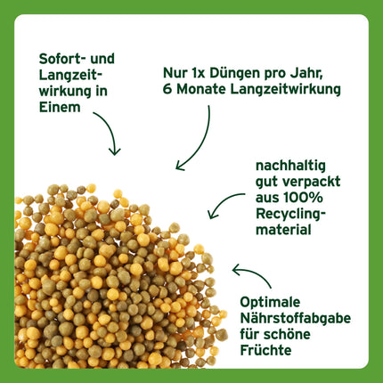 Substral ilgtermiņa depo mēslojums citrusaugļiem un Vidusjūras augiem, piem. bugenvilejas, oleandri, vīģes u.c., 750 g, zaļas