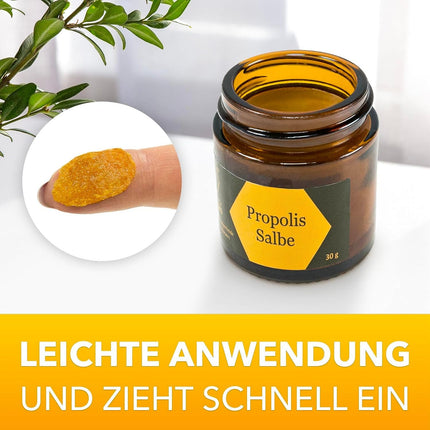 Nordbienchen® Propolisa ziede 30g - No mūsu pašu biškopības – Dabīgs propolisa krēms ādas kairinājumiem, aknei, neirodermatītam, herpes, kārpām – Bišu vaska ziede bez piedevām