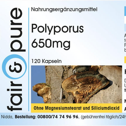 Fair &amp; Pure® - Polyporus 650mg - 120 kapsulas - Polyporus umbellatus - vegāns - bez magnija stearāta