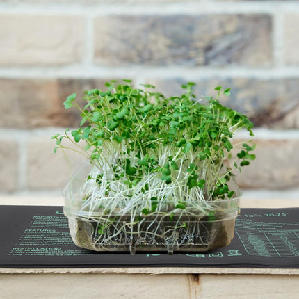 DBREAKS apkures paklājiņš ar termostatu, 30 W iekštelpu siltumnīcas apkures paklājiņš, apkures paklājiņi ar kontrolieri, IP67 siltumnīcas apkures paklājiņš ūdensizturīgs, augu apkures paklājiņš ar digitālo termostatu stādiem