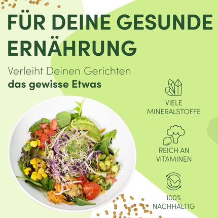 Green SEEDS dīgšanas burciņa, 2 gab. komplekts, 1000 ml, ar augstas kvalitātes nerūsējošā tērauda sieta vāku, statīvu + BEZMAKSAS dīgšanas ABC [Drukātas versijas]