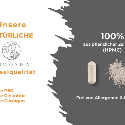 QIDOSHA® nāttokināzes kapsulas, augsta deva, visaugstākā enzīmu aktivitāte ar 28000 FU/g, 240 kapsulas stikla burkā, vegānas, bez K2 vitamīna, gala produkts bez sojas