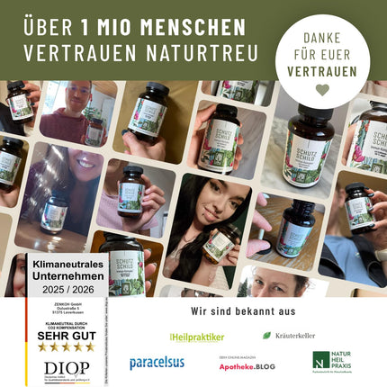 Imūnsistēmas komplekss - 500 mg ehinācijas ar C vitamīnu, cinku, selēnu, L-histidīnu un kalmegu - Stipriniet savu imūnsistēmu * vegāns un bez piedevām - 120 ehinācijas purpura kapsulas 60 dienām