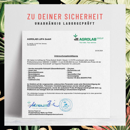 Augstas devas aminoskābju komplekss - 180 vegāniskas aminoskābju tabletes ar 1000 mg katrā dienā ar 12 dažādām aminoskābēm - EAA modeļa tabletes no NATURTREU