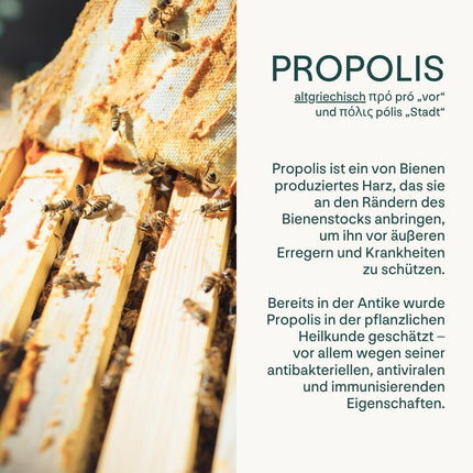 heybee® Propolisa imūnsprejs ar D vitamīnu, 30 ml - mutes dobuma aerosols bērniem un pieaugušajiem, nomierinošs rīklei un rīklei + stiprina imūnsistēmu, sastāvdaļas no ilgtspējīgas biškopības