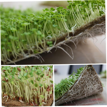 NASSMOSSE Micro Greens stādīšanas paklājiņš, 8 kaņepju paklājiņi mikrozaļumu audzēšanai, 25,4 x 50,8 cm, mikrozaļumu audzēšanas komplekts, organisko sēklu dīgšanas augšanas paklājiņš, džutas paklājiņš, sēklu sākuma paplātēm