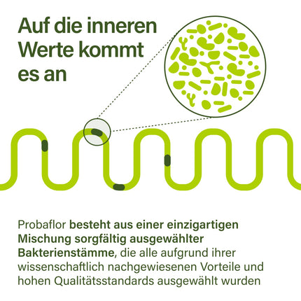 Nupure® Probaflor ar 345 miljardiem CFU/g*, 110 kapsulas ar 11 īpašiem baktēriju celmiem, Ar inulīnu un Lactobacillus salivarius SP2, Labāka aizsardzība, pateicoties īpašam iepakojumam, Vegāns