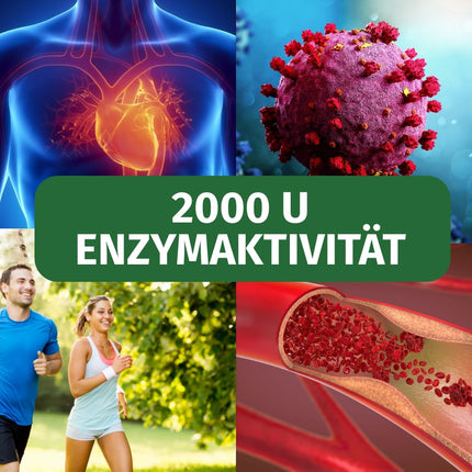 Nāttokināze 20 000 FU/g — 100 mg kapsulā — 1 gada krājums (365 kapsulas) — fermentēts sojas pupiņu ekstrakts — aptiekas kvalitāte — Green Naturals®