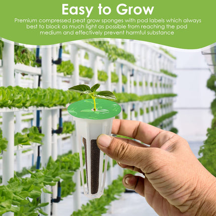 Sēklu kapsulu komplekts Aerogarden, Grow-Anything komplekts hidroponikai, augu kapsulu komplekts A un B augu mēslošanai ar augu groziem, audzēšanas sūkļiem, augu kupoliem un etiķetēm (12 gab.)