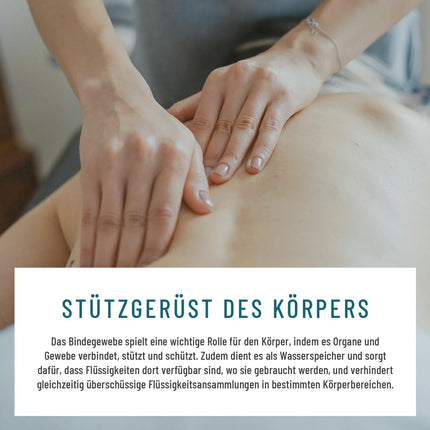 Nātru kapsulu komplekss ar zirgkastaņas ekstraktu un sarkano vīnogulāju lapām. Vegāns un bez ķimikālijām. Spēcīgas drenāžas tabletes. 90 urīndzenošās tabletes no NATURTREU.