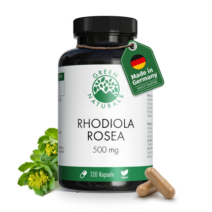 Rhodiola Rosea kapsulas — augsta deva: 500 mg vienā kapsulā ar 3% rozavīniem un 1% salidrosīdu — 4 mēnešu krājumi (120 kapsulas) — Rhodiola Rosea — aptiekas kvalitāte — Green Naturals®